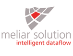 Meliar Solution Logo